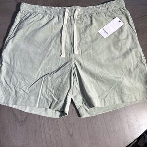 Goodfellow & Co Light Green Men's Shorts